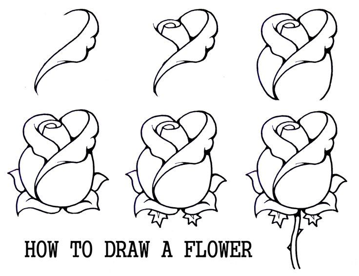Hey Drawing Beginners: You Need to Know These 3 Fundamentals