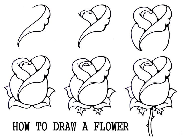 Drawing For Beginners at GetDrawings