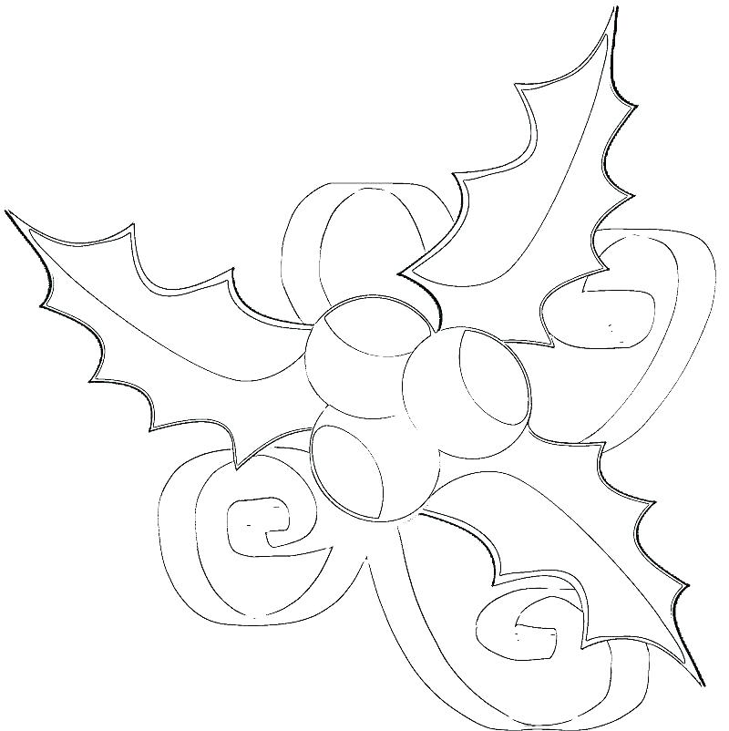 Drawing Holly Leaves And Berries at GetDrawings | Free download