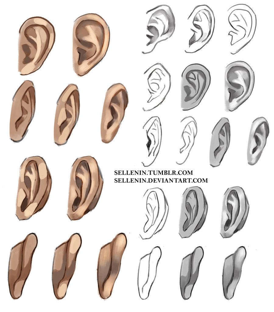 Ear Drawing Reference at GetDrawings | Free download