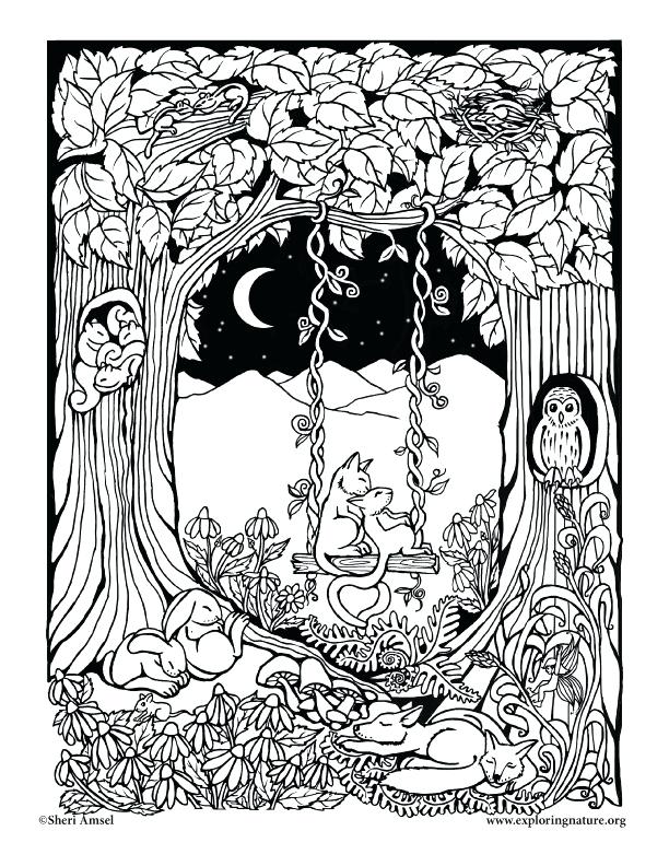 Belle Coloriage Foret Enchantee A Imprimer Haut Coloriage Hd Images 