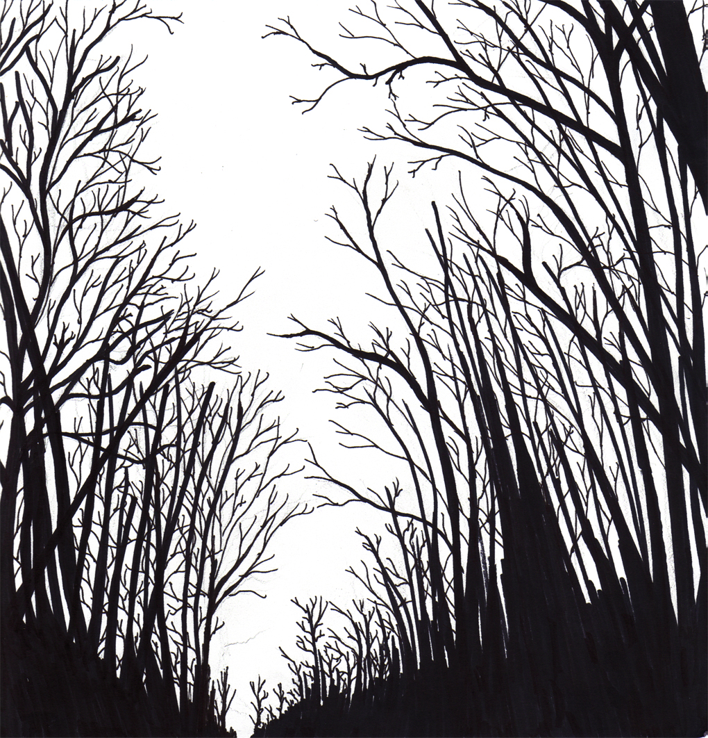 Search for Forest drawing at