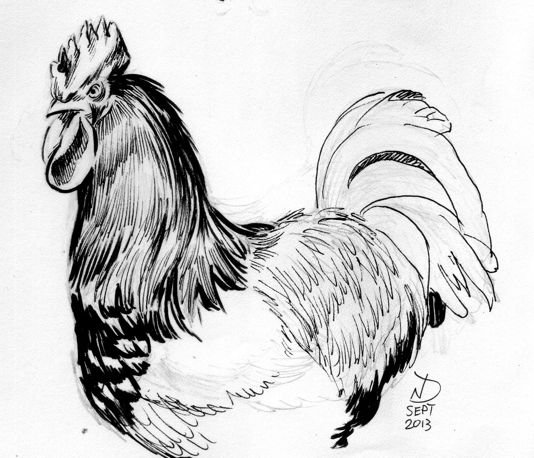 Fowl Drawing at GetDrawings Free download