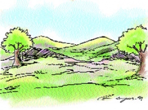 Grassland Drawing at GetDrawings | Free download