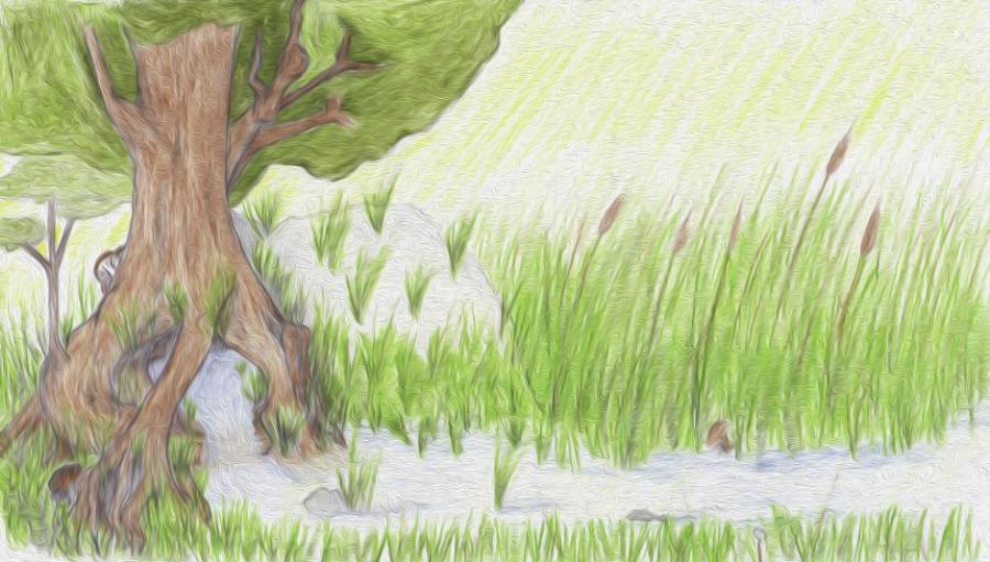 Grassland Drawing at GetDrawings | Free download