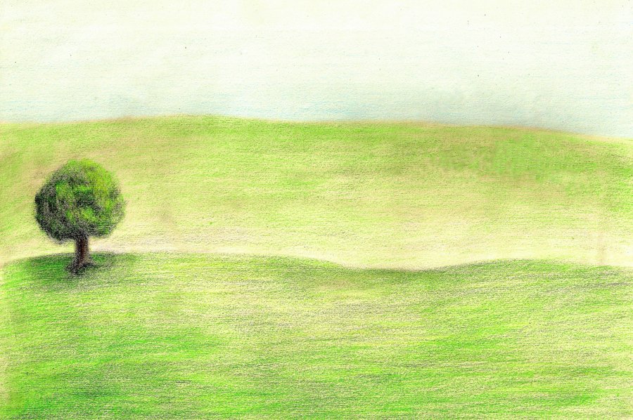 Grassland Drawing at GetDrawings | Free download