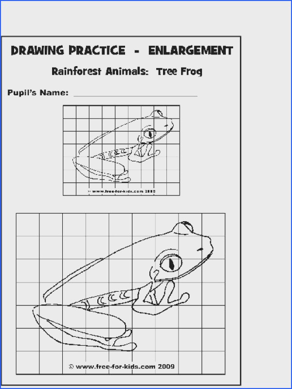 Grid Drawing Worksheets Pdf at GetDrawings Free download
