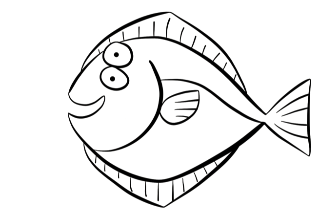 Halibut Drawing at GetDrawings | Free download