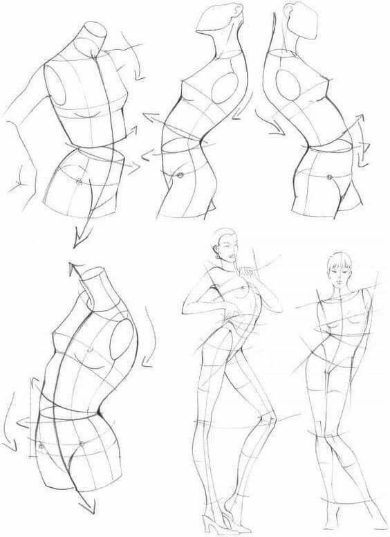 Human Body Drawing Reference at GetDrawings | Free download