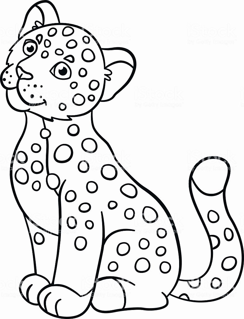 Jaguar Outline Drawing at GetDrawings | Free download