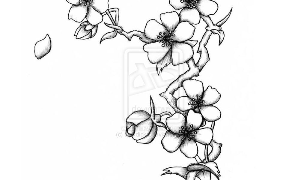 Japanese Cherry Blossom Drawing Black And White at GetDrawings | Free
