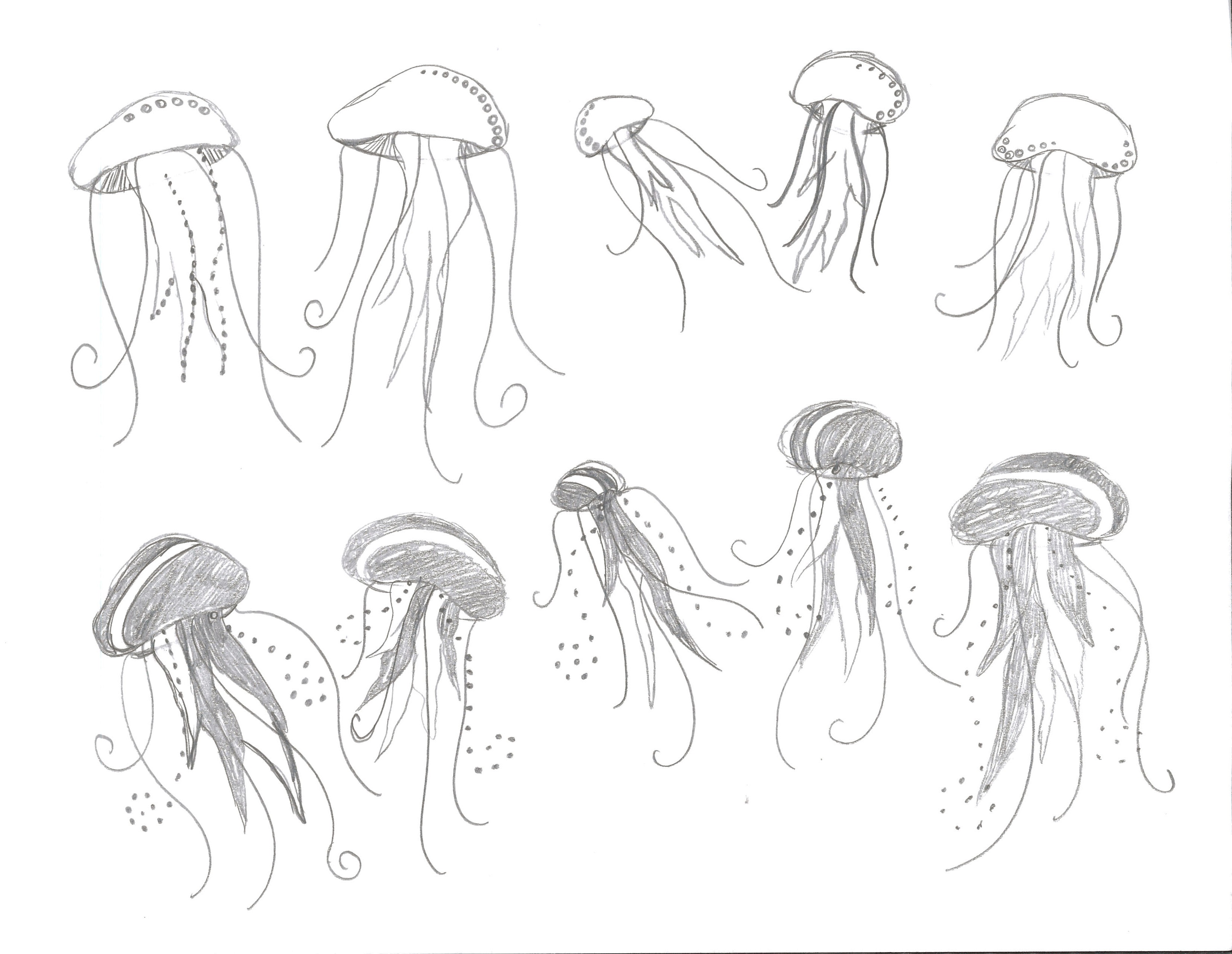 Jellyfish Drawing Color at GetDrawings Free download
