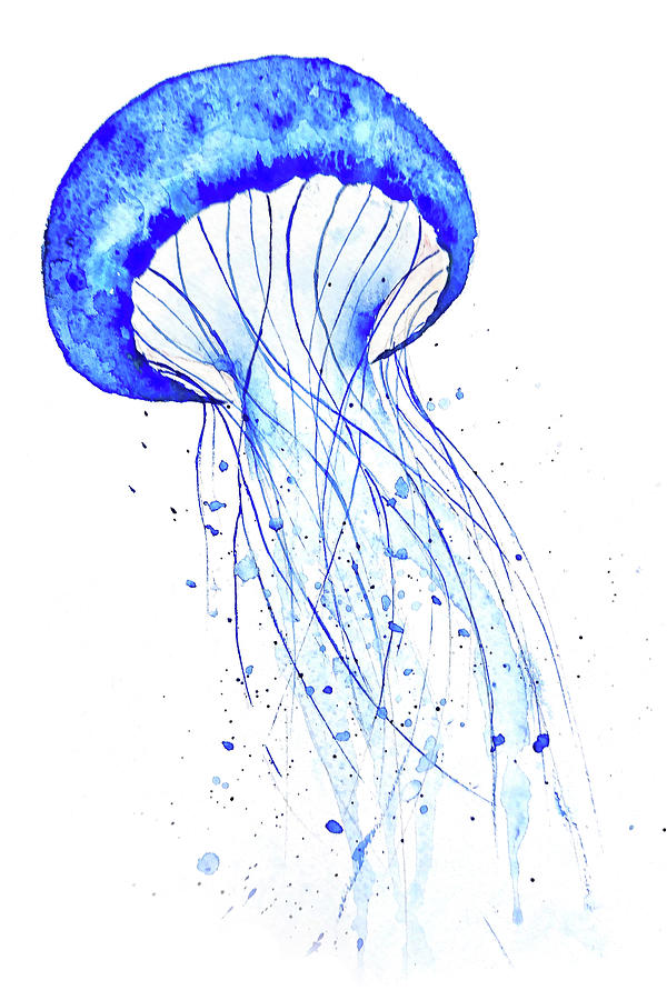 Jellyfish Drawing Color at GetDrawings Free download