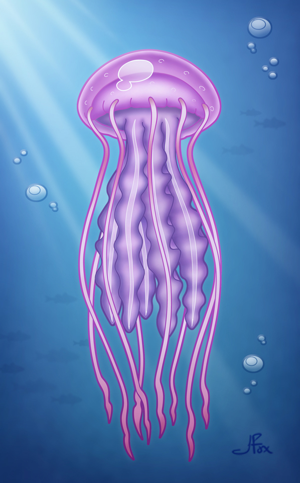 Jellyfish Drawing Color at GetDrawings | Free download