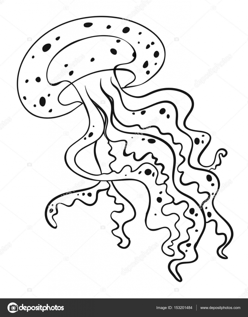 Jellyfish Drawing Color At GetDrawings Free Download