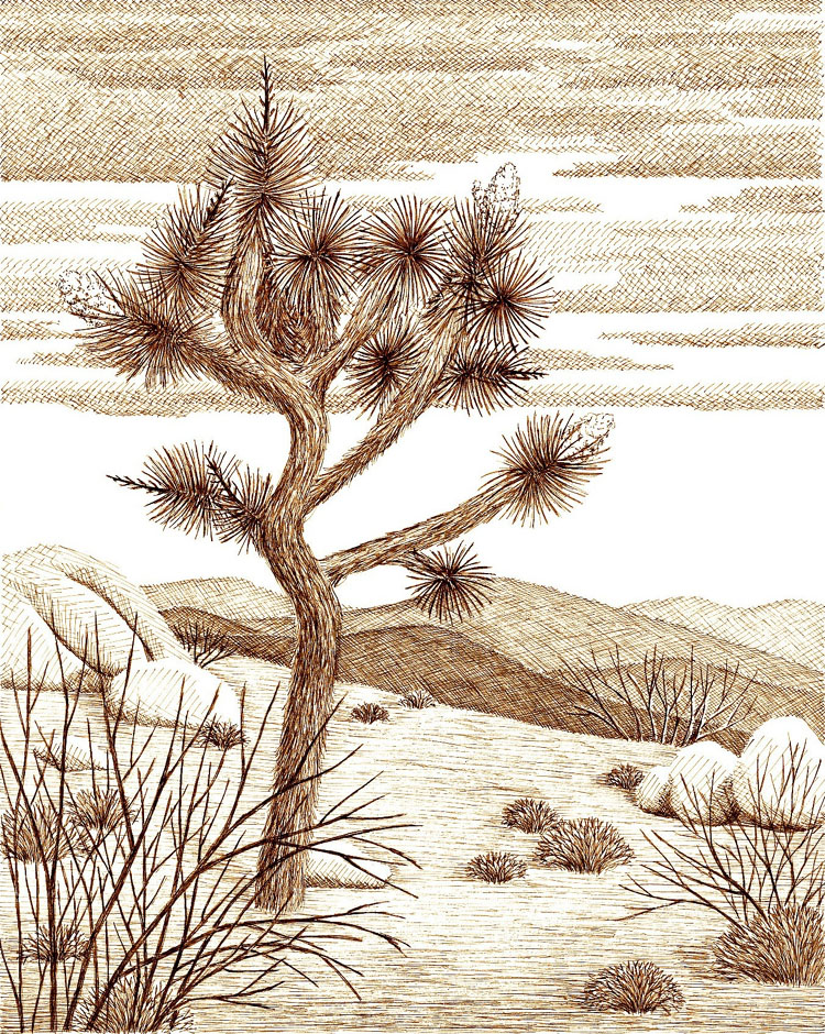 Joshua Tree Drawing at GetDrawings Free download
