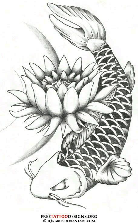 Koi Fish Tattoo Drawing Design at GetDrawings | Free download