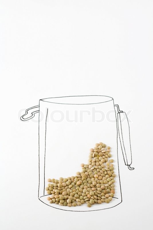 Lentil Drawing At GetDrawings Free Download