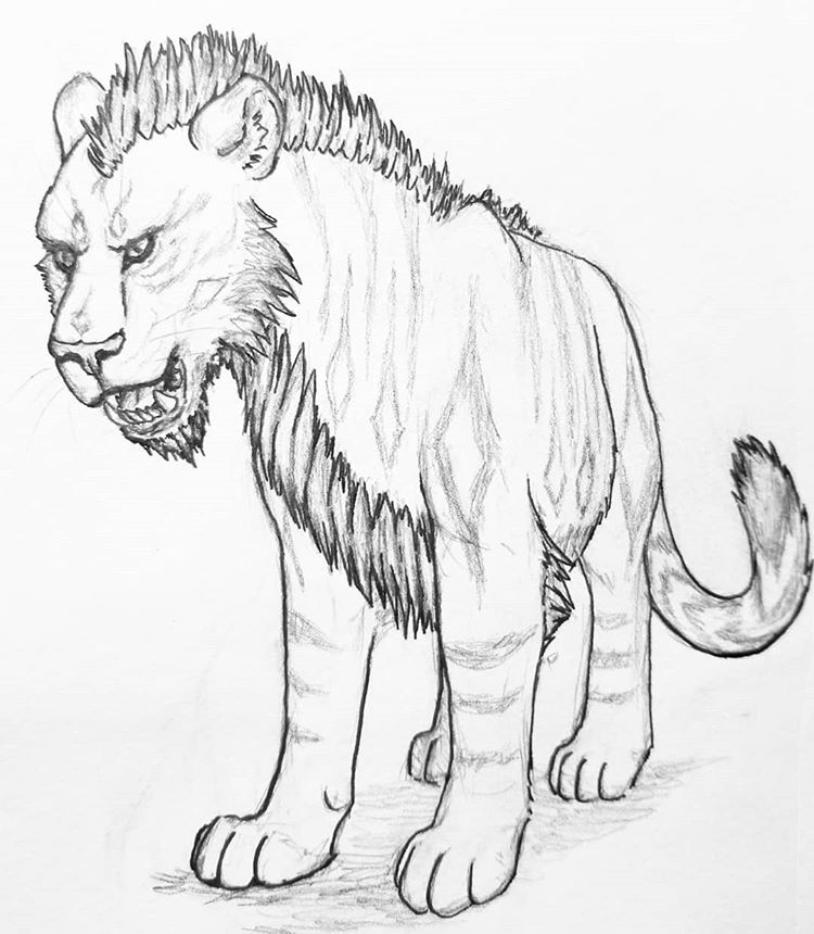 Liger Drawing Napoleon Dynamite at GetDrawings Free download