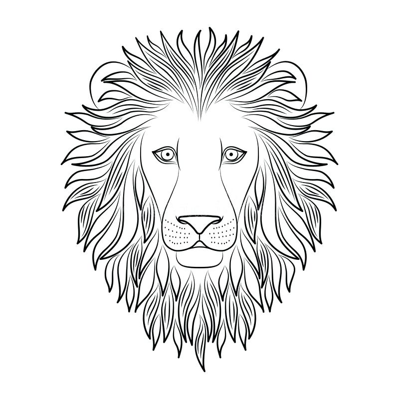 Lion Head Outline Drawing at GetDrawings Free download