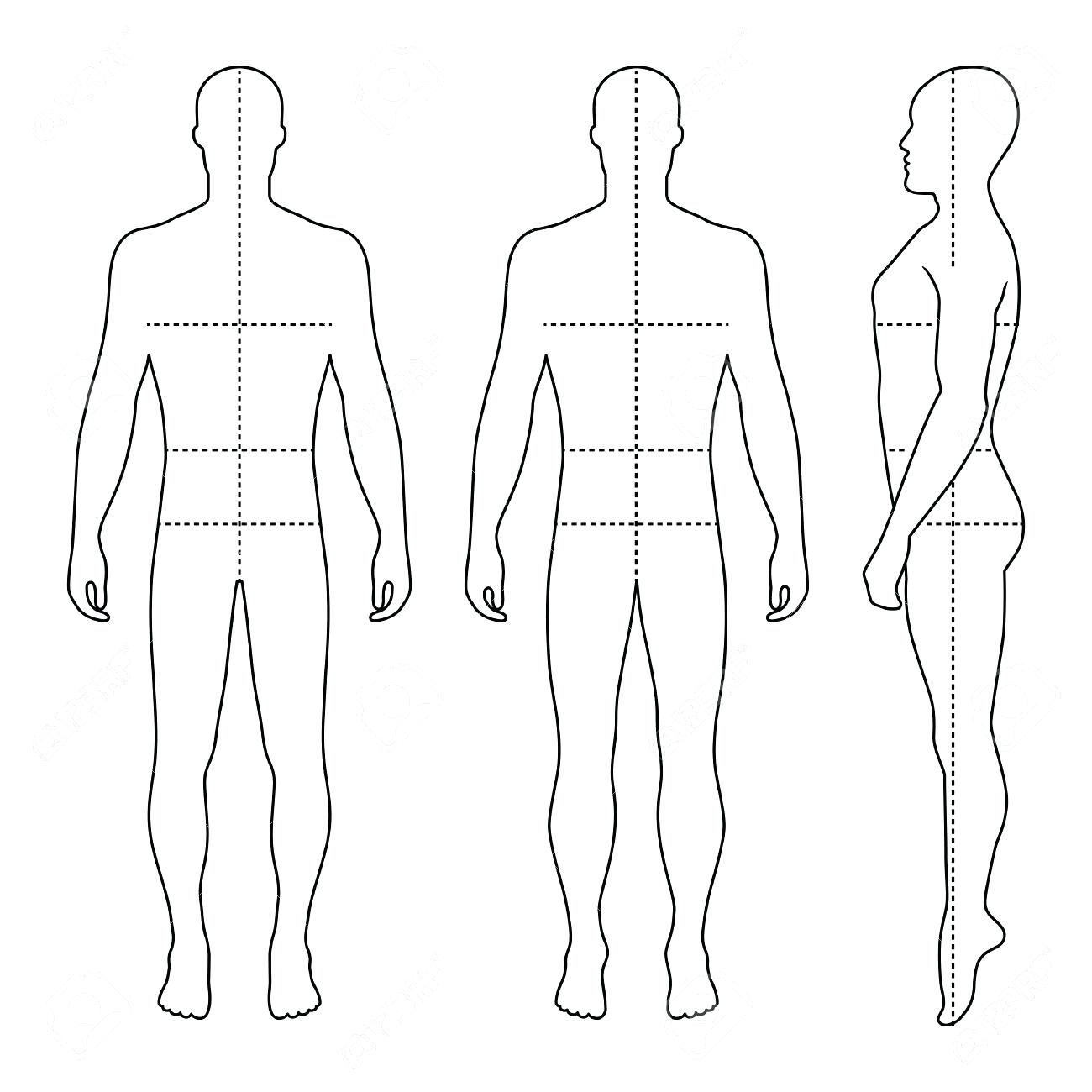 Male Body Drawing Template at GetDrawings | Free download