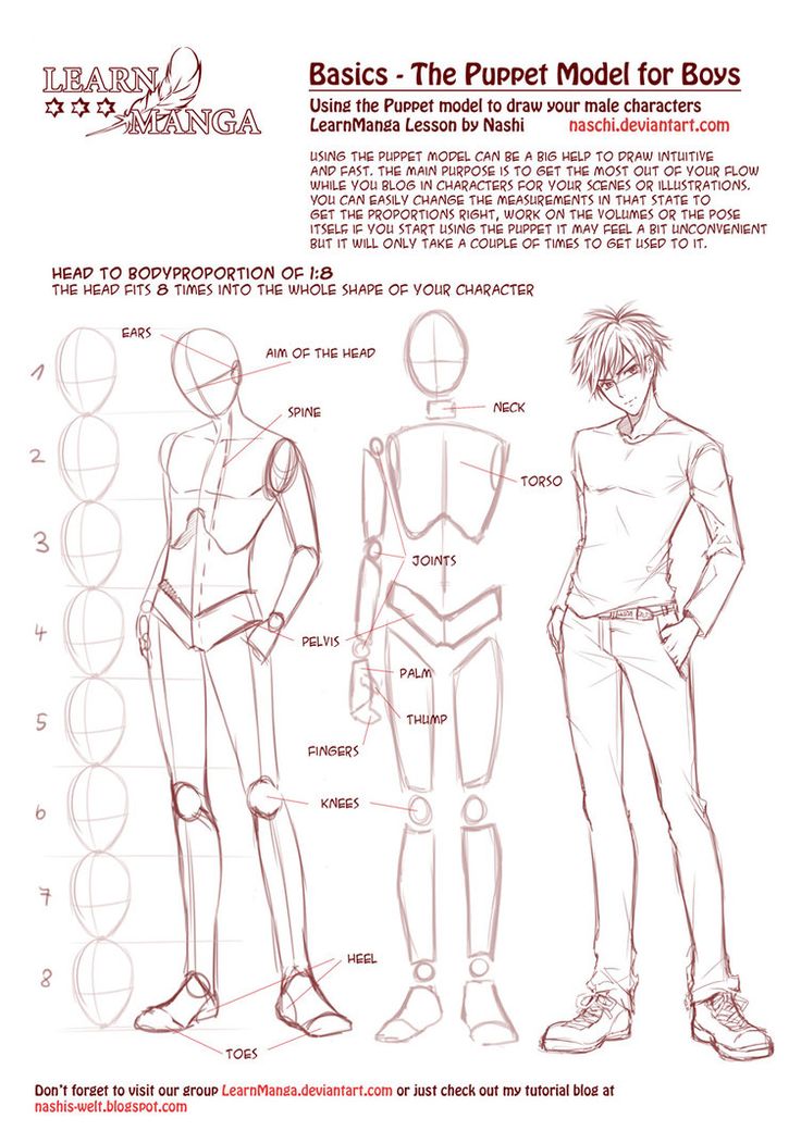 male-body-drawing-template-at-getdrawings-free-download