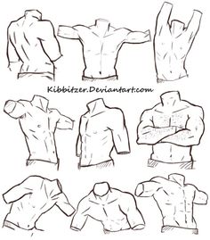 male upper body anatomy drawing