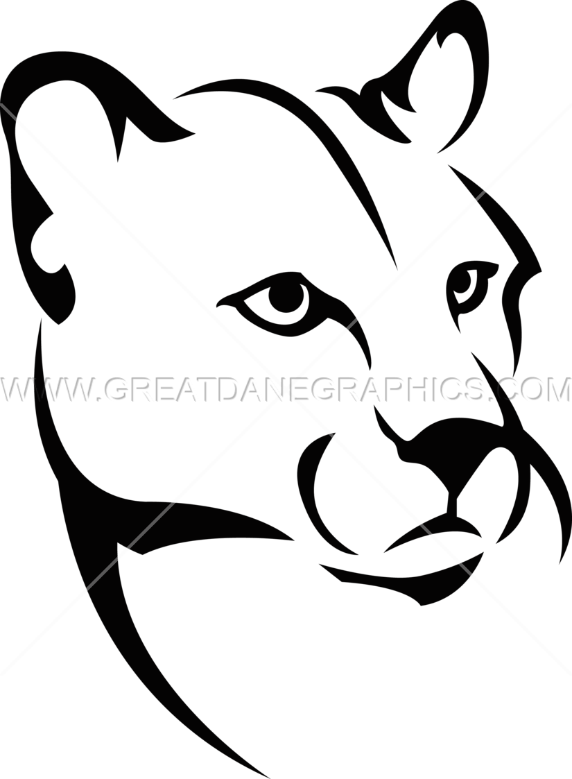 Mountain Lion Face Drawing at GetDrawings | Free download