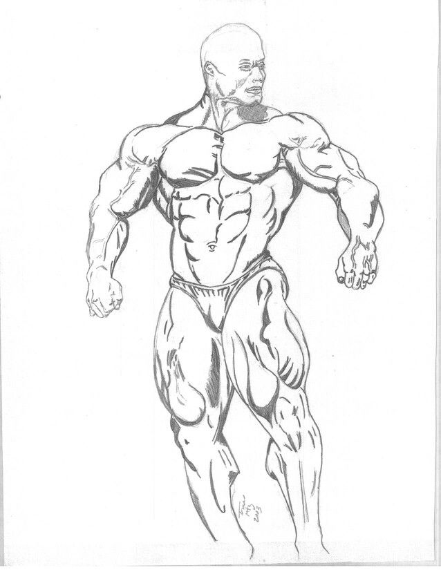 Search for Muscle drawing at GetDrawings.com