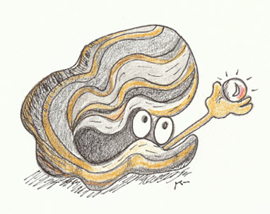 Oyster Drawing Cartoon at GetDrawings | Free download