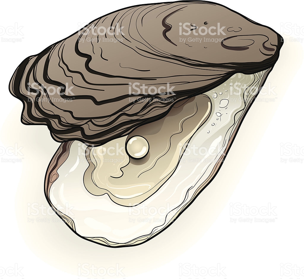 Oyster Pearl Drawing at GetDrawings Free download