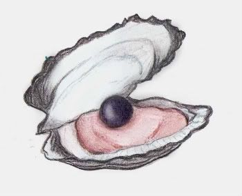 Oyster Pearl Drawing at GetDrawings | Free download
