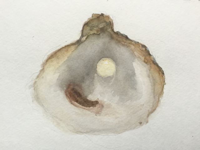 Oyster Pearl Drawing at GetDrawings | Free download