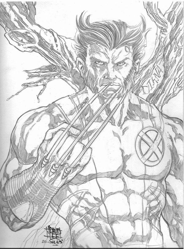 Pencil Drawing Of Wolverine at GetDrawings Free download