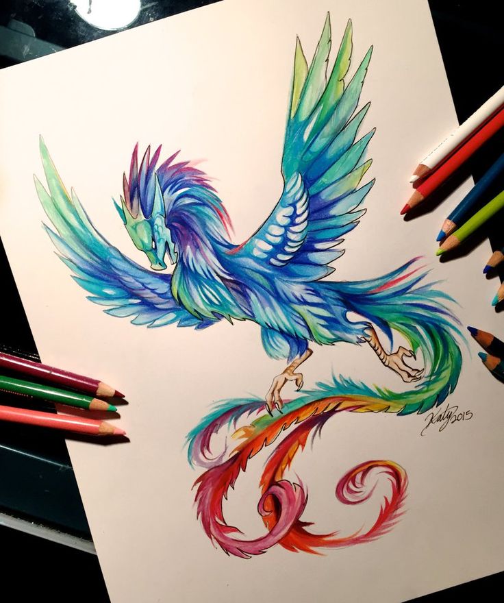 Phoenix Drawing In Color at GetDrawings Free download