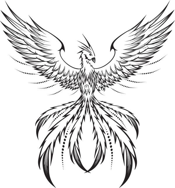 Phoenix Rising From The Ashes Drawing at GetDrawings Free download