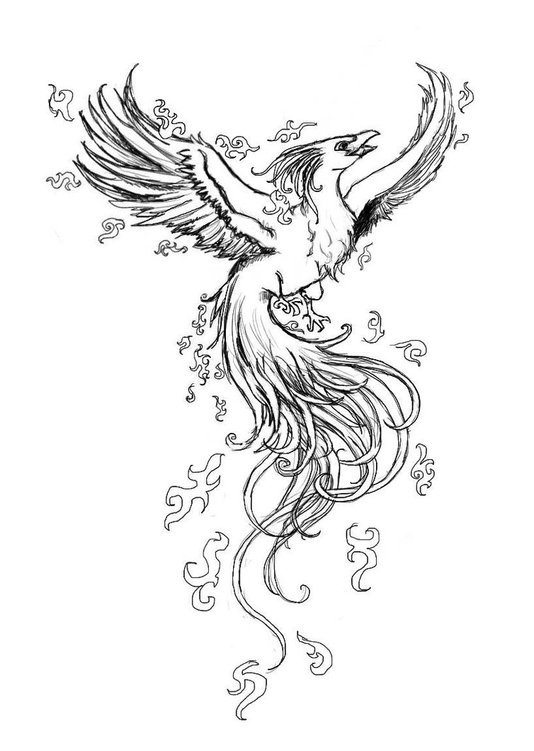 Phoenix Rising From The Ashes Drawing at GetDrawings Free download
