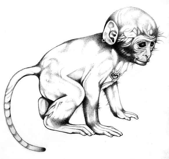 Primate Drawing at GetDrawings Free download