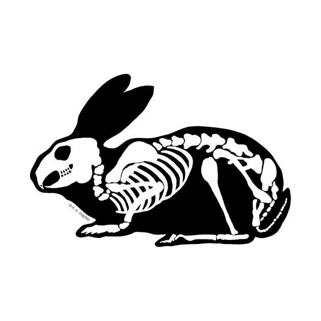 Rabbit Skeleton Drawing at GetDrawings Free download