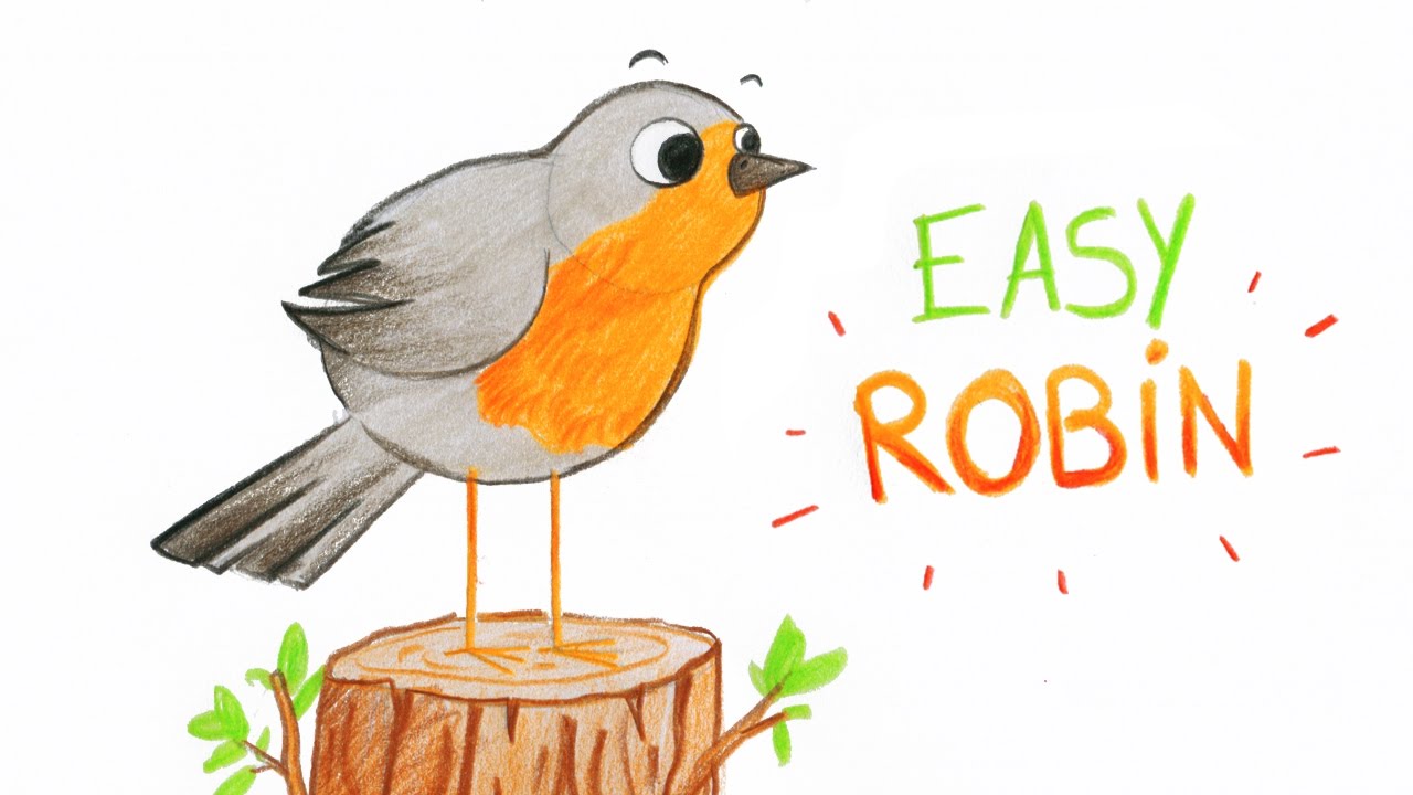 Robin Outline Drawing at GetDrawings | Free download