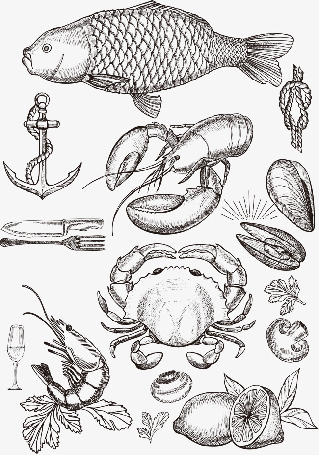 The best free Seafood drawing images. Download from 133 free drawings