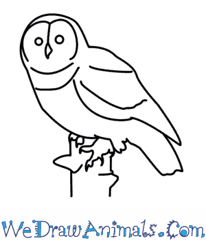 Simple Flying Owl Drawing at GetDrawings | Free download