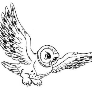 Simple Flying Owl Drawing at GetDrawings | Free download