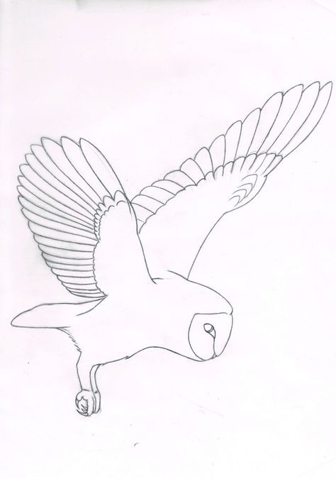 Simple Flying Owl Drawing at GetDrawings | Free download