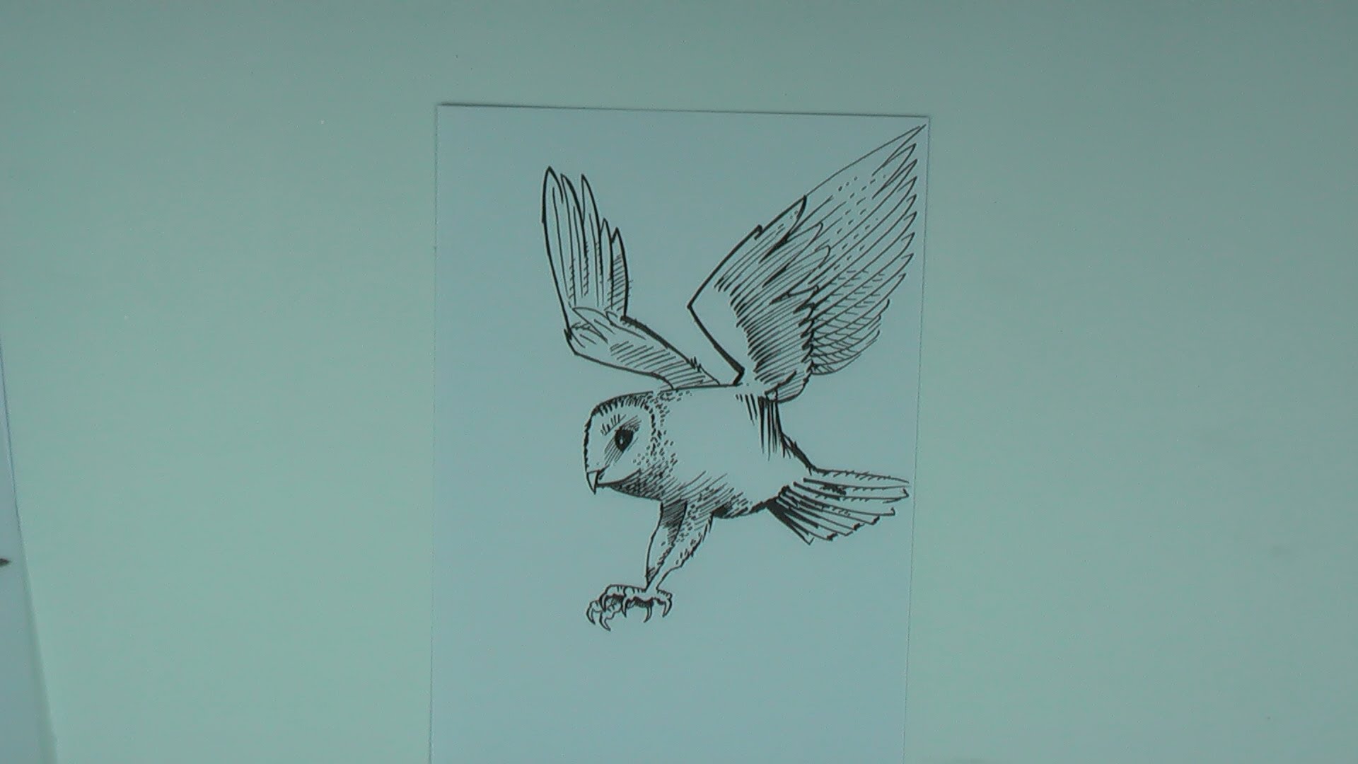 Simple Flying Owl Drawing at GetDrawings | Free download