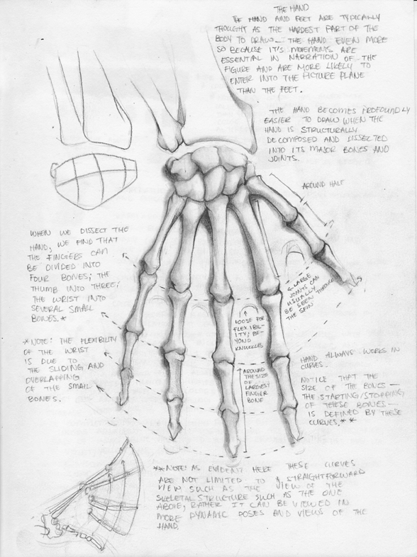 Skeleton Hand Drawing Tutorial at GetDrawings | Free download