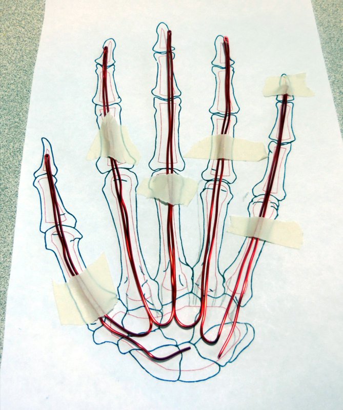 Skeleton Hand Drawing Tutorial at GetDrawings | Free download