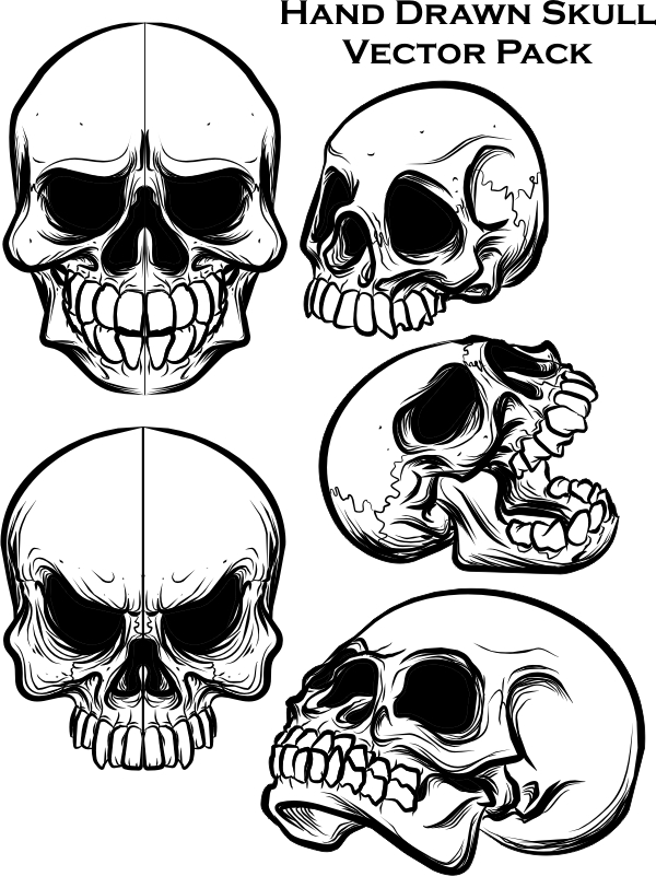 Skull Teeth Drawing at GetDrawings Free download