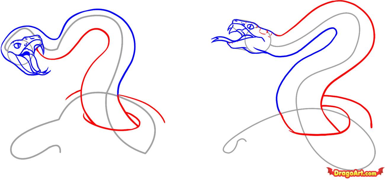 Snake Head Drawing Side View at GetDrawings | Free download