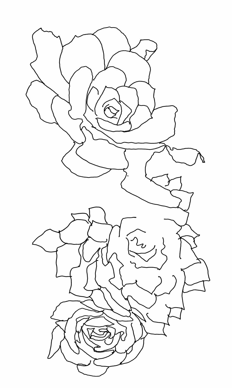 Succulent Line Drawing at GetDrawings | Free download